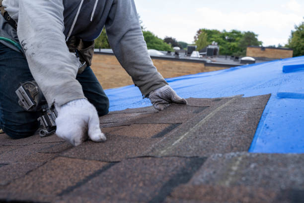 Best Tile Roofing Contractor  in Cridersville, OH