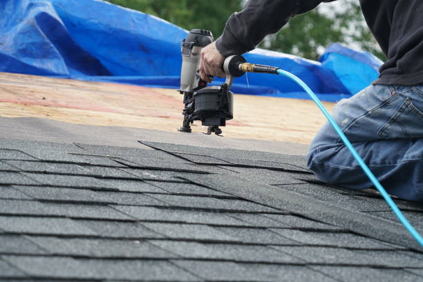 Best Storm Damage Roof Repair  in Cridersville, OH