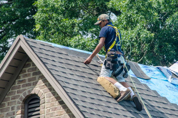 Best Roof Leak Repair  in Cridersville, OH